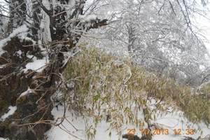 西岭雪山滑雪场